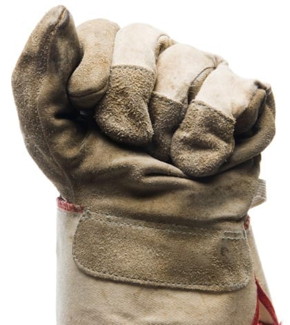 Close-up of worn canvas work glove on fist against white background. No selection made.