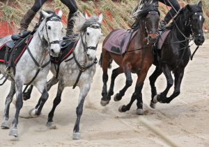 Four galloping horses, with two trick riders, each standing with one leg on the saddle of two horses.