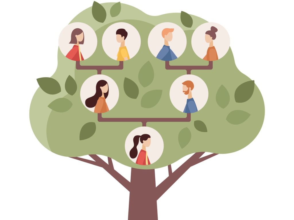 family-genealogic-tree-parents-and-grandparents-children-genealogy