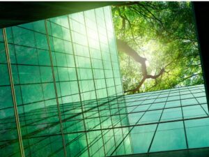 Companies Continue to Focus on Sustainability Despite ESG Backlash