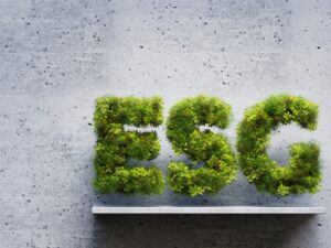 Why In-House Counsel Should Focus on Governance (the “G” in ESG)