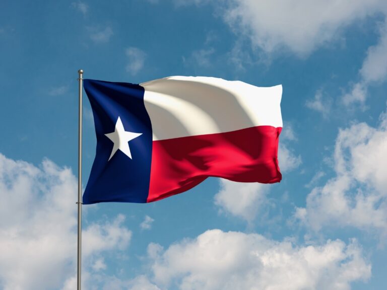 flag-texas Texas Garners Billion-Dollar Settlement From Google in Data Privacy Case