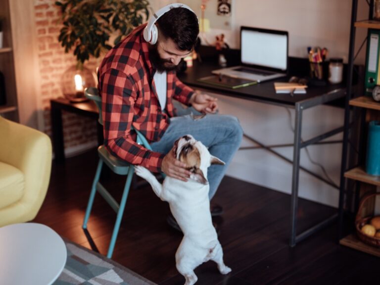 freelancer-working-from-home-and-playing-with-his-dog https://todaysgeneralcounsel.com/tag/employment-law-in-focus/
