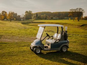 Cadillac, Chevy, or Golf Cart: Are You Targeting the Right Records Management Program?