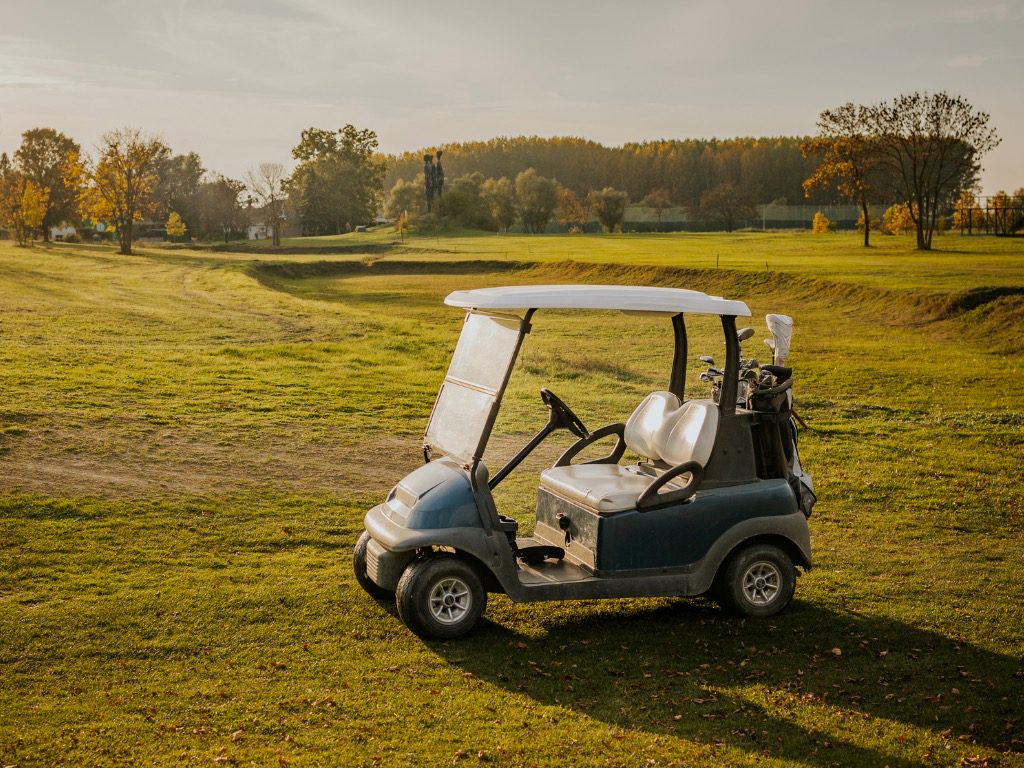 Cadillac, Chevy, or Golf Cart: Are You Targeting the Right Records Management Program?