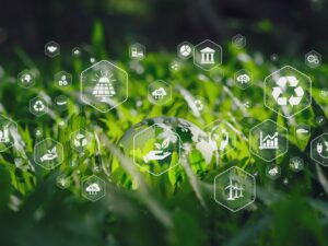 Regulatory Unraveling of the National Environmental Policy Act Framework