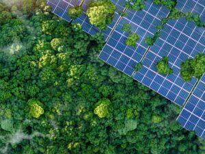 EFRAG Moves to Simplify EU Sustainability Reporting