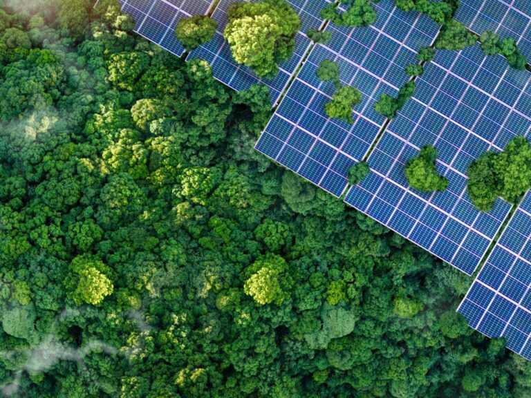 sustainability EFRAG Moves to Simplify EU Sustainability Reporting