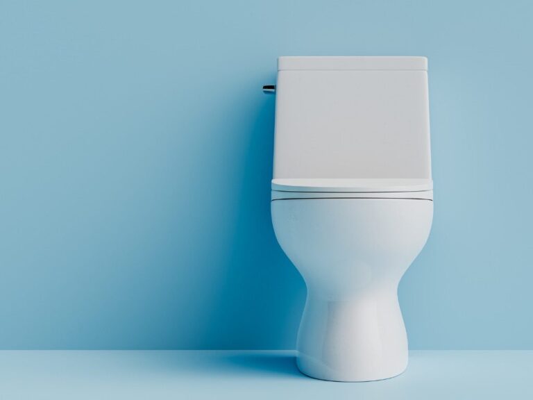 toilet in bathroom