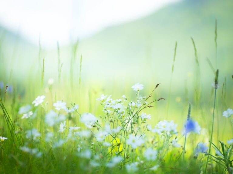 Spring Cleaning for Legal Teams: Refining Workplace Policies and HR Practices for a Fresh Start